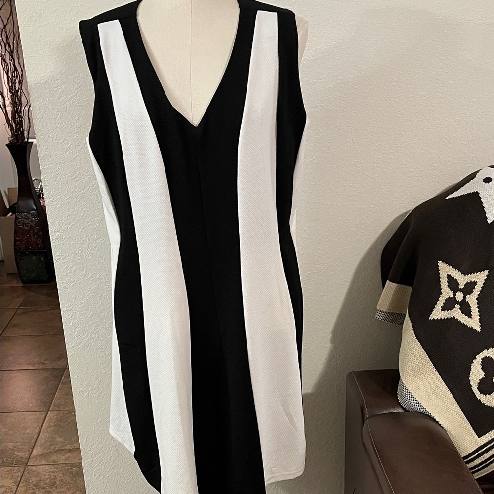 Enfocus Studio Black and White V-Neck Midi Dress